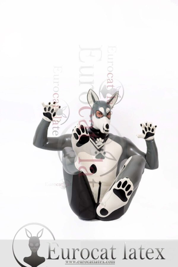 eurocat latex Male Grey Donkey Latex Catsuit