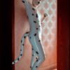 eurocat latex Male 'Dalmatian' Catsuit