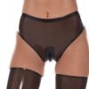 Panties  Smoky Black sexy female with croth zipper